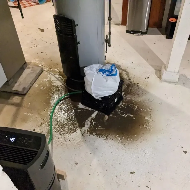 Sewage Backup Cleanup Service in Rushville, NE